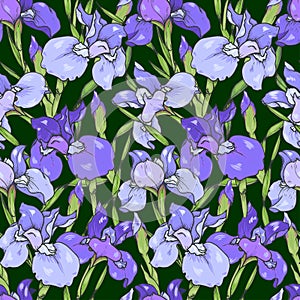 Purple and blue irises on a dark green background, seamless